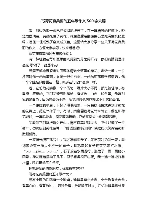 写荷花真美丽的五年级作文500字六篇