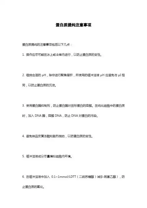 蛋白质提纯注意事项