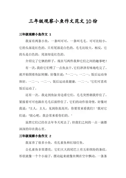 三年级观察小鱼作文范文10份