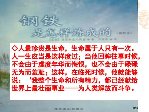 名著导读钢铁是怎样炼成的公开课一等奖优质课大赛微课获奖课件
