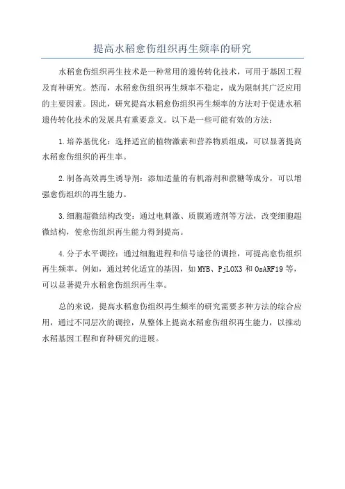 提高水稻愈伤组织再生频率的研究