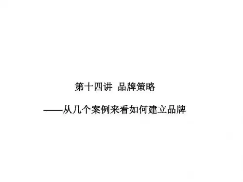 品牌案例分析