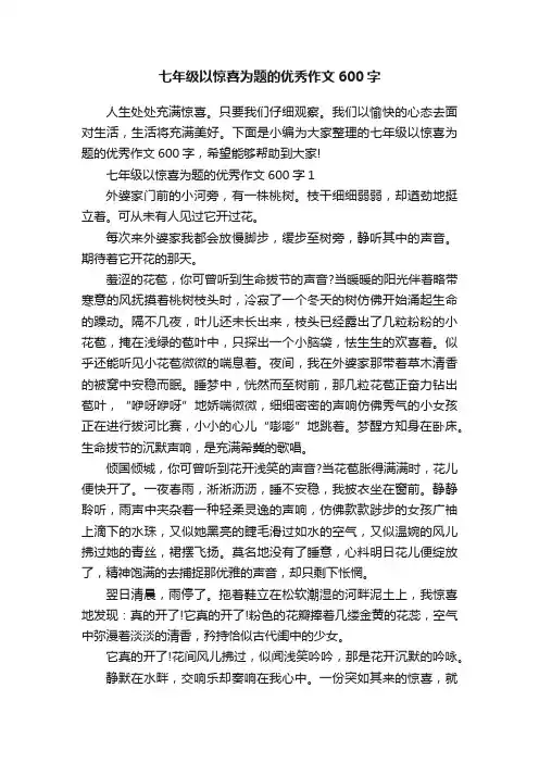 七年级以惊喜为题的优秀作文600字