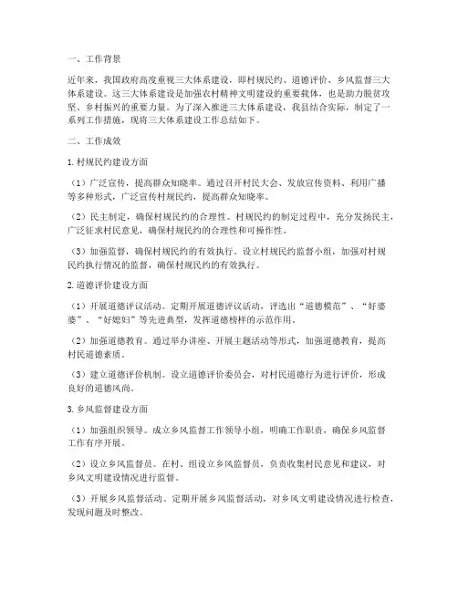 三大体系建设工作总结报告
