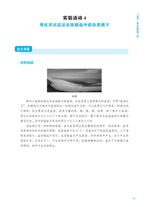 人教版高中化学必修二《用化学沉淀法去除粗盐中的杂质离子》实验报告