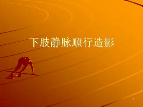 下肢静脉造影ppt课件