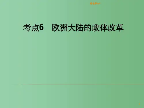 高考历史一轮复习讲议 1.6 欧洲大陆的政体改革 岳麓版