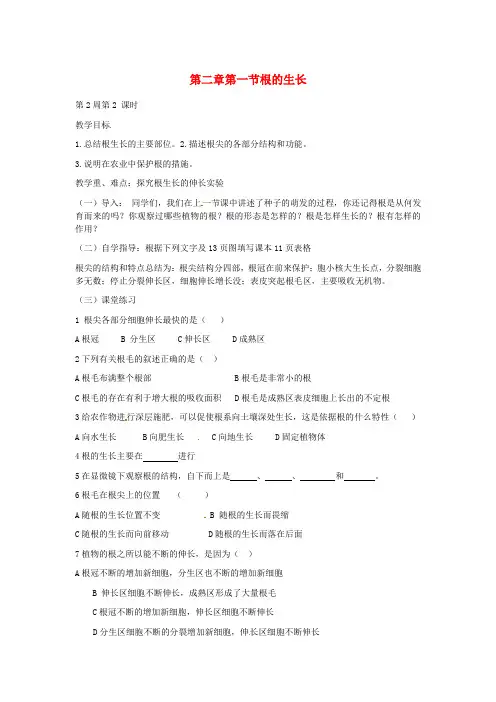 八级生物上册 第三单元 第二章 第一节根的生长教案 冀教版