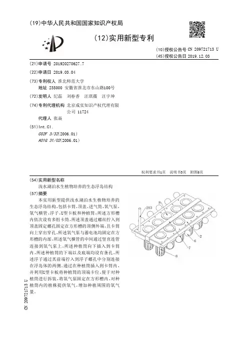 【CN209721713U】浅水湖泊水生植物培养的生态浮岛结构【专利】