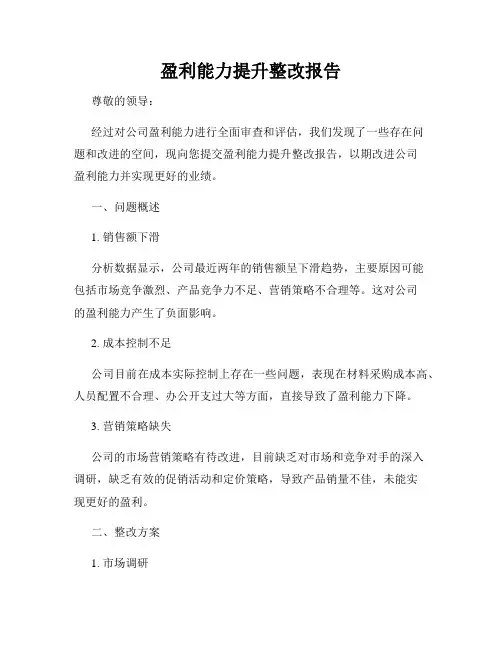 盈利能力提升整改报告