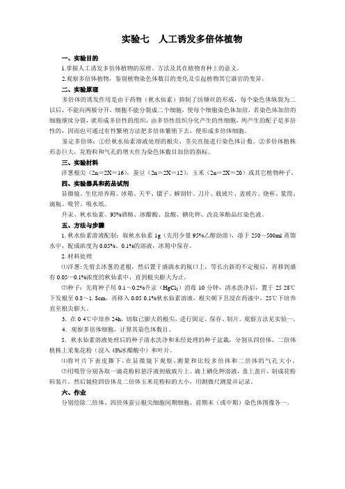 实验07 人工诱发多倍体植物