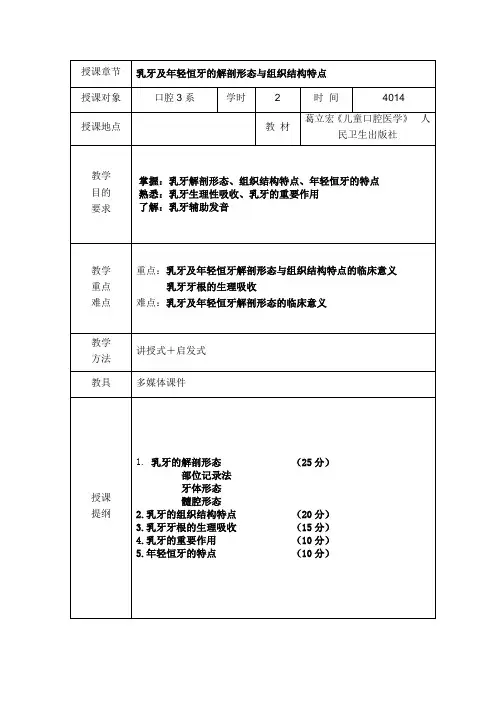 乳牙及年轻恒牙的解剖形态与组织结构特点