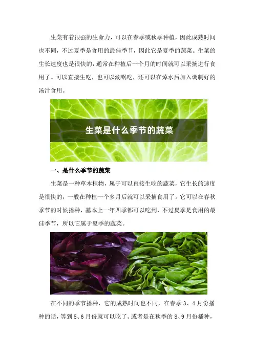 生菜是什么季节的蔬菜,怎么做好吃又简单