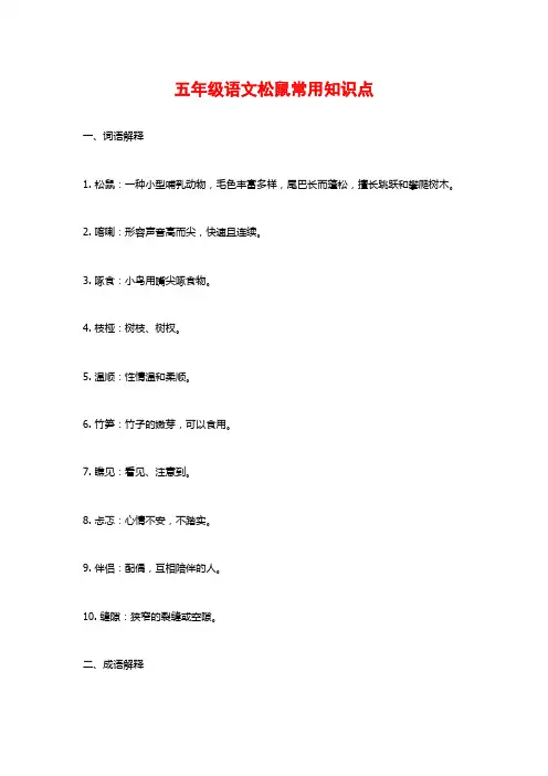 五年级语文松鼠常用知识点