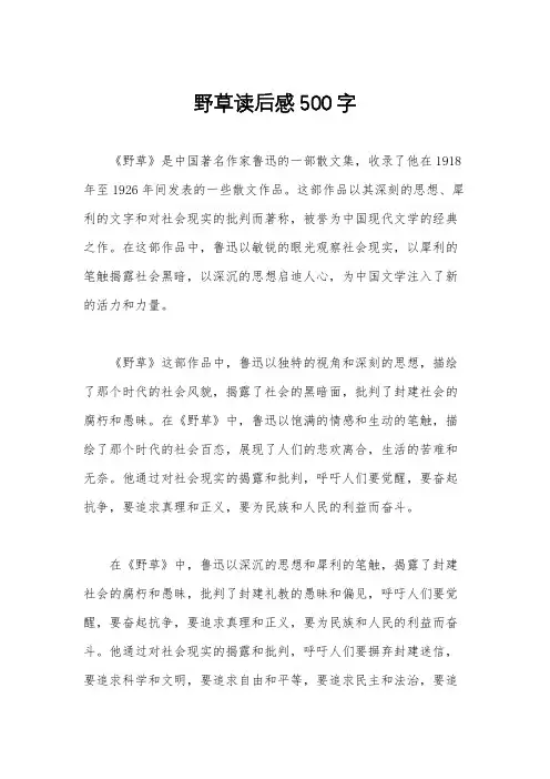 野草读后感500字