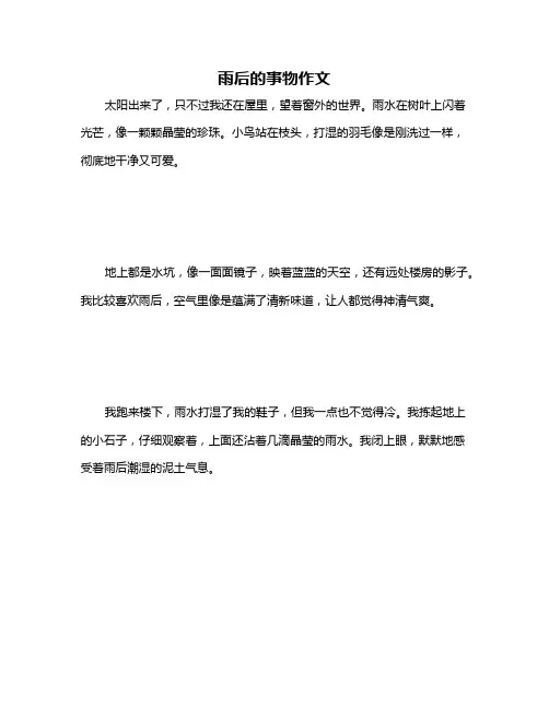 雨后的事物作文