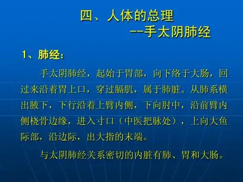 5手太阴肺经