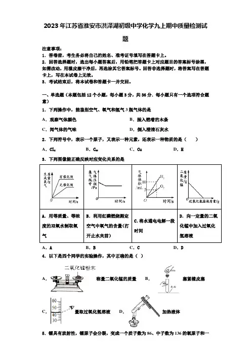 2023年江苏省淮安市洪泽湖初级中学化学九上期中质量检测试题含解析