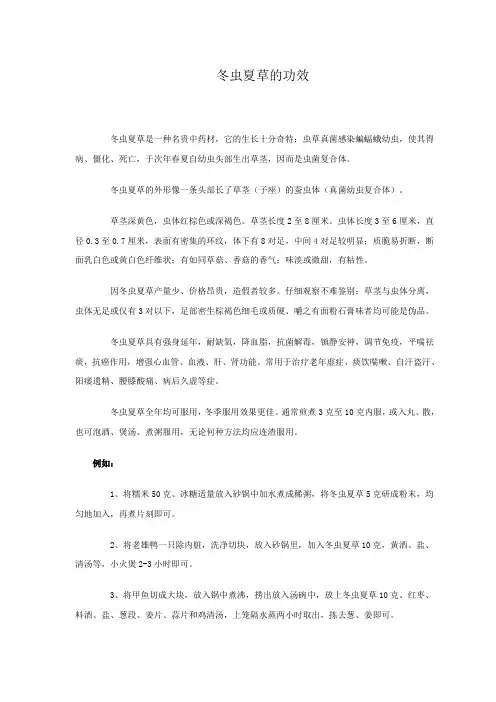 冬虫夏草综合资料
