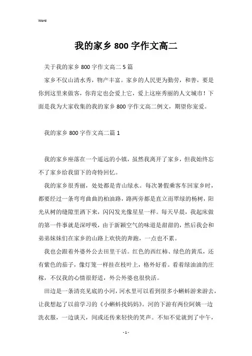 我的家乡800字作文高二