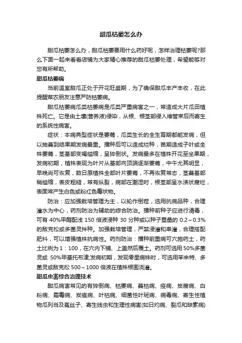 甜瓜枯萎怎么办