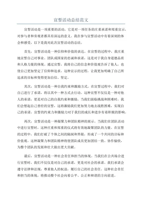 宣誓活动总结范文