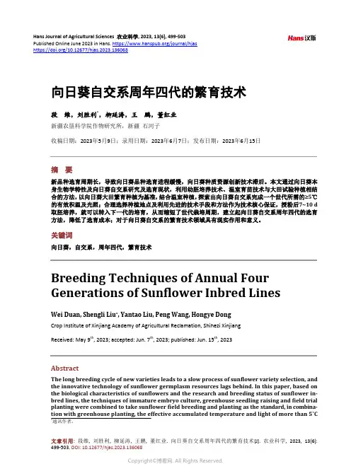 向日葵自交系周年四代的繁育技术