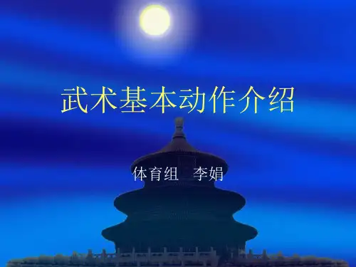 武术基本动作介绍