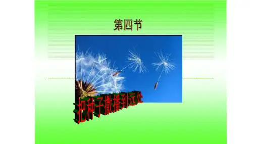 《把种子散播到远处》PPT优秀课件1