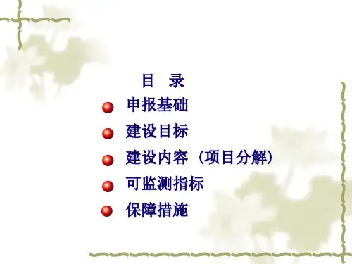 职业大学申报国家示范院校项目汇报材料