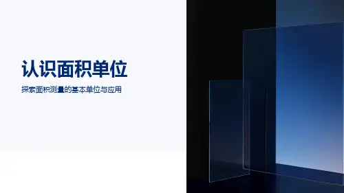 认识面积单位