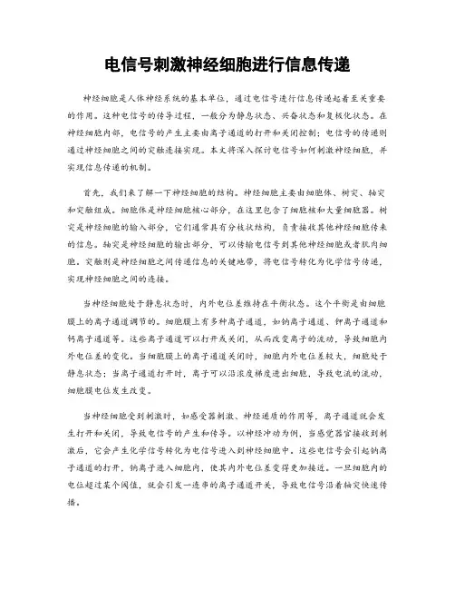 电信号刺激神经细胞进行信息传递