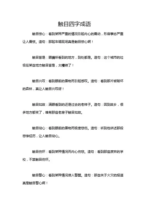 触目四字成语