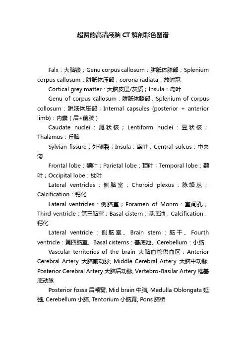 超赞的高清颅脑CT解剖彩色图谱