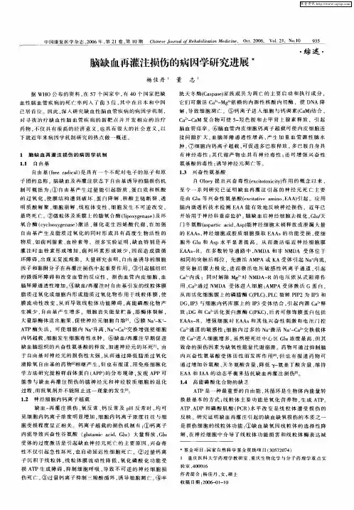 脑缺血再灌注损伤的病因学研究进展