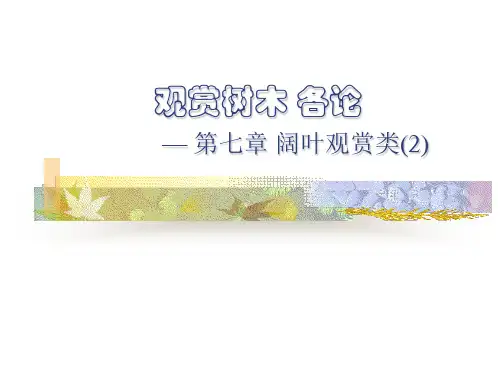 园林树木学课件——(木兰科-蔷薇科)