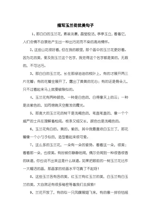 描写玉兰花优美句子