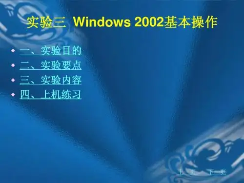 大学计算机基础习题与上机指导 实验三