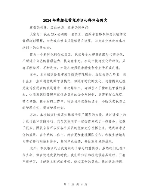 2024年精细化管理培训心得体会例文(2篇)