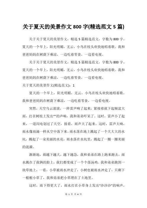 关于夏天的美景作文800字(精选范文5篇)