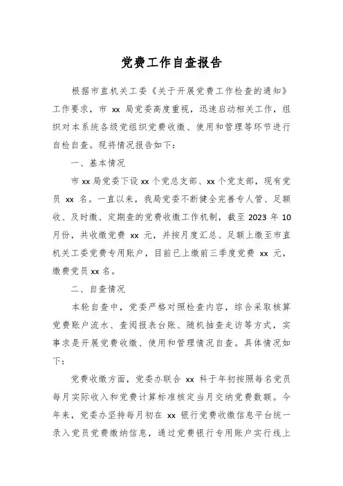 党费工作自查报告
