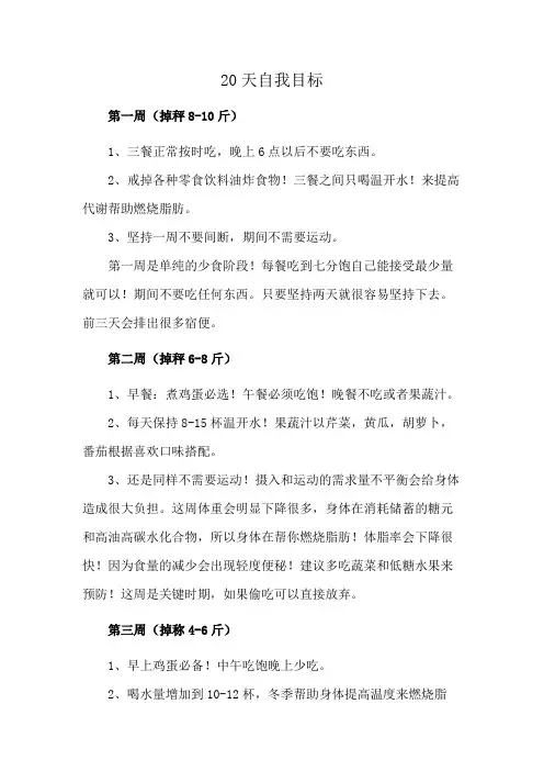 20天自我目标