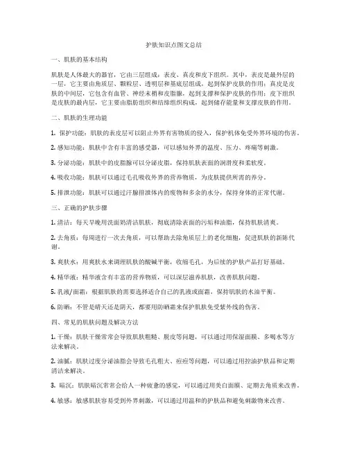 护肤知识点图文总结
