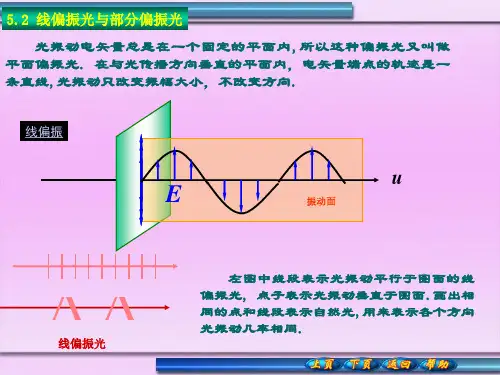 线偏振光与部分偏振光