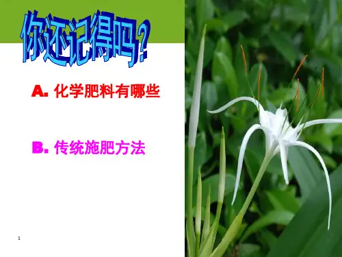 土壤氮素与氮肥PPT演示课件
