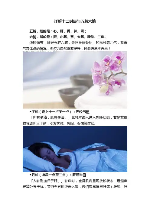 详解十二时辰与五脏六腑