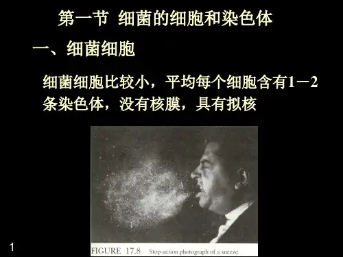 医学课件第7章细菌的遗传分析
