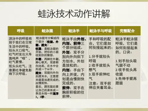 蛙泳、自由泳、仰泳、蝶泳动作讲解
