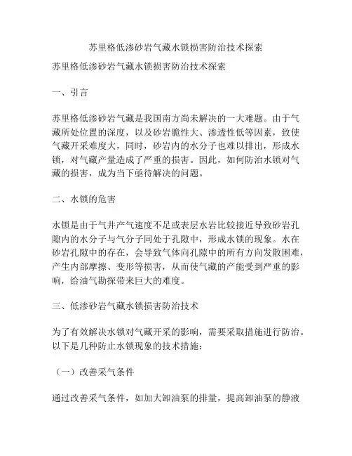 苏里格低渗砂岩气藏水锁损害防治技术探索