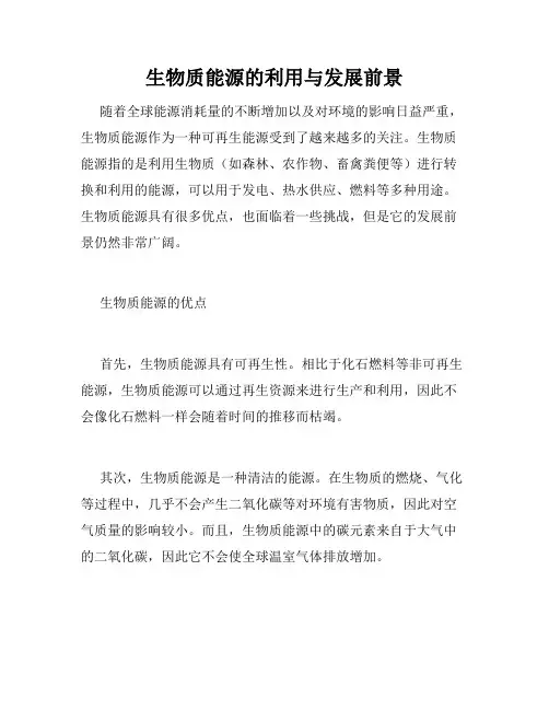 生物质能源的利用与发展前景
